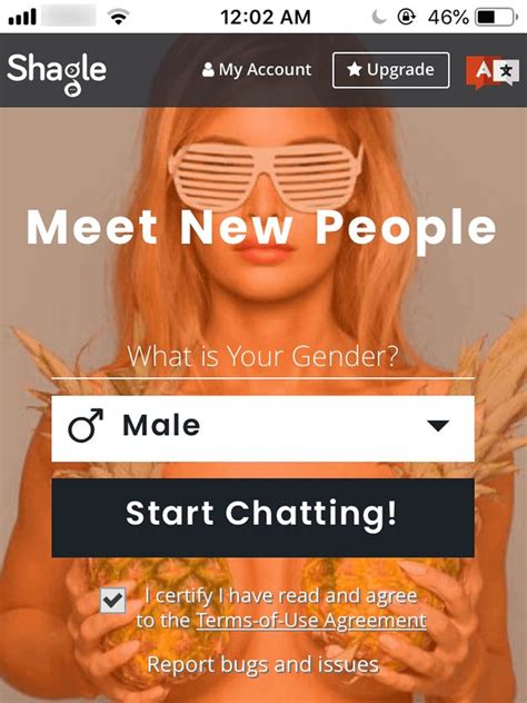 web conocer gente|Shagle: Free Random Video Chat – Talk to Strangers